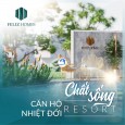Mở bán căn hộ cao cấp Feliz Homes của Công ty Cổ phần KLB tại Hoàng Mai, Hà Nội Hoàng Mai, Hà Nội