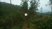 CHÍNH CHỦ BÁN LÔ ĐẤT RỪNG SẢN XUẤT SIÊU ĐẸP TẠI XUÂN HÒA - LẬP THẠCH -VĨNH PHÚC