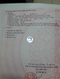 ĐẤT CHÍNH CHỦ GIÁ TỐT NGAY THÔN ĐÔNG HÒA,XÃ HÒA CHÂU,HUYỆN HÒA VANG,ĐÀ NẴNG Hòa Vang, Đà Nẵng