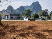 Cần bán gấp 4.000m2 đất thổ cư view vị trí đẹp giá rẻ tại Kim Bôi, Hòa Bình.