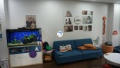 CHÍNH CHỦ BÁN CĂN CHUNG CƯ FIVESTAR SỐ 2 - KIM GIANG. GIÁ CỰC TỐT Thanh Xuân, Hà Nội