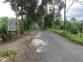 Cho thuê trang trại đang kinh doanh tốt tại Châu thành - Hậu Giang
