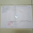 CHÍNH CHỦ BÁN ĐẤT TẠI XÃ VĨNH HẠNH - LONG HỒ - VĨNH LONG