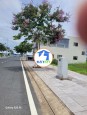 Bán đất nền nằm ngay mặt tiền đường Phùng Hưng dt 125m2 giá 800tr có sổ sẵn. Trảng Bom, Đồng Nai